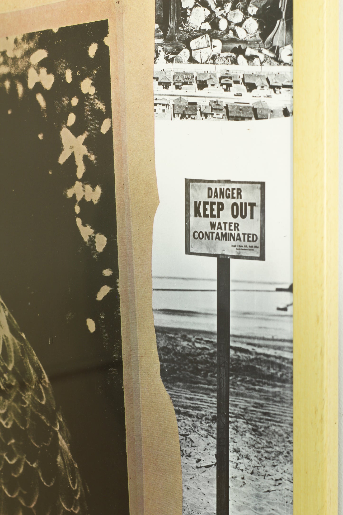 Robert Rauschenberg - Original Earth Day Poster - 1970