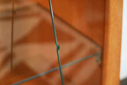 Danish Teak Mid-Century Lighted Display Cabinet Glass Doors and Shelves