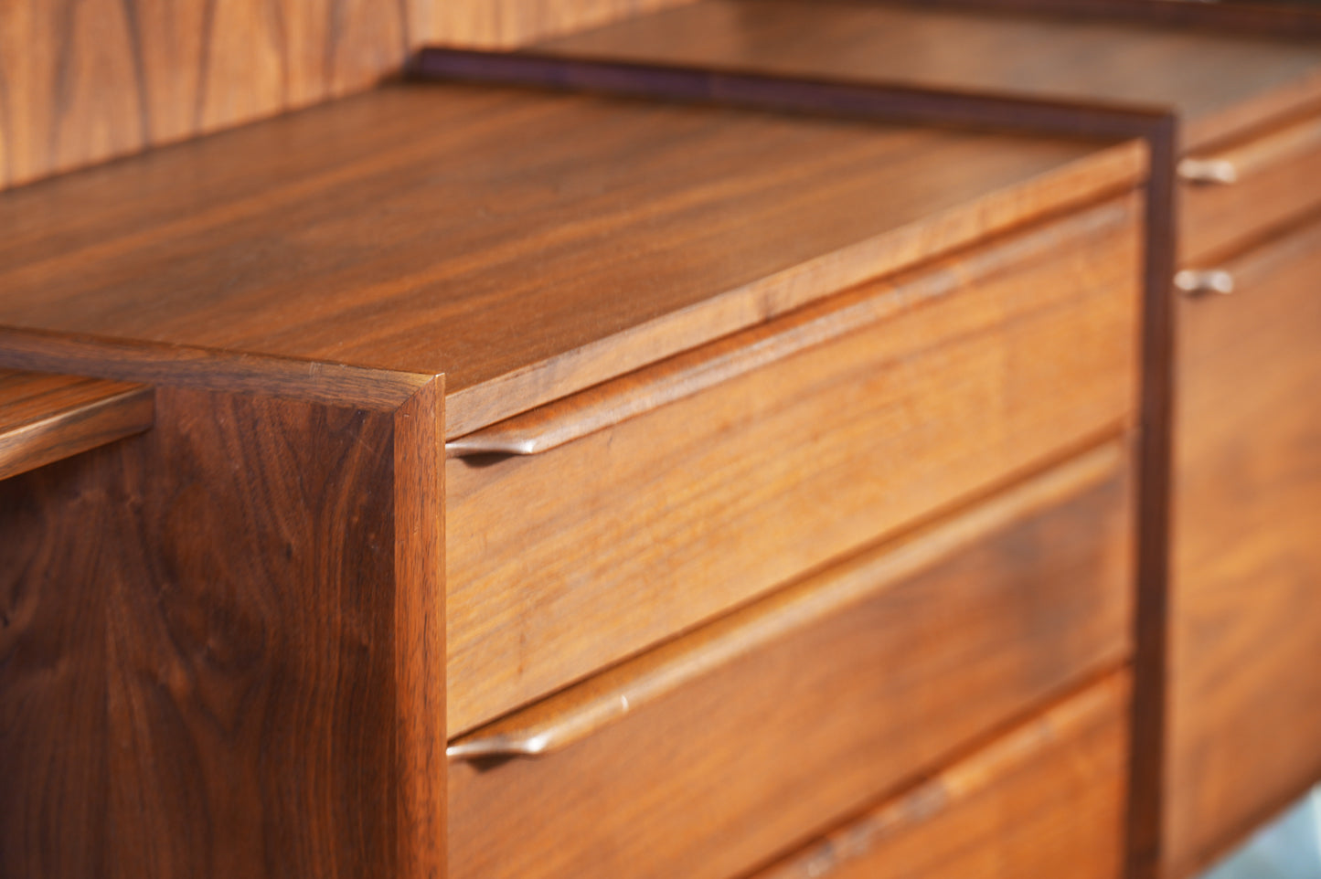 2+ Panel Rosewood Wall Unit PEGA by Juul Christiansen Norway