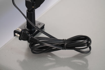 Panasonic LS-605E Desk Lamp